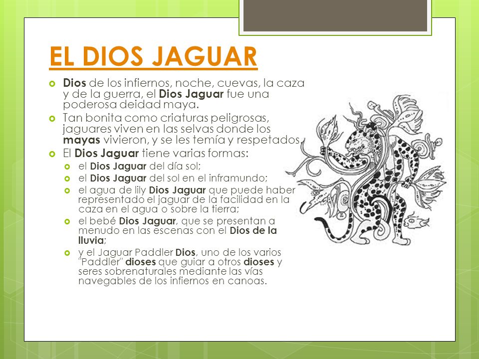 EL DIOS JAGUAR Dios de los infiernos, noche, cuevas, la caza y de la guerra, el Dios Jaguar fue una poderosa deidad maya.