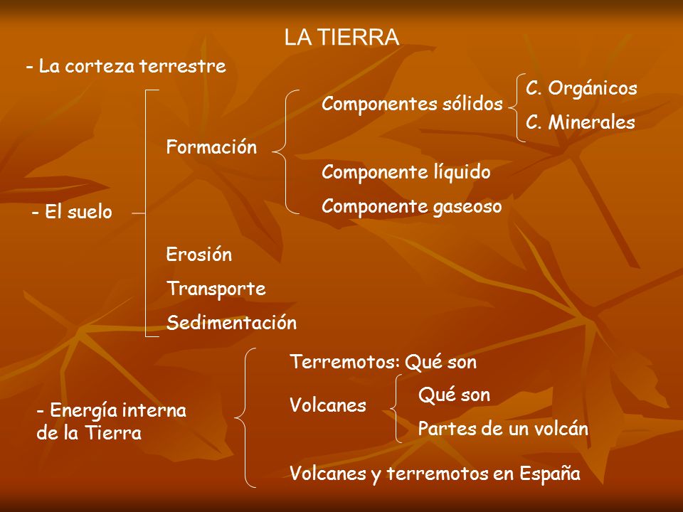 LA TIERRA - La corteza terrestre C. Orgánicos C. Minerales