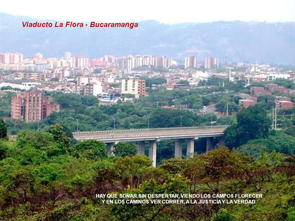 Viaducto La Flora - Bucaramanga