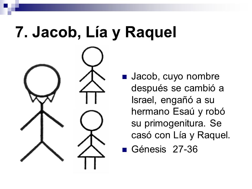 7. Jacob, Lía y Raquel Jacob, cuyo nombre después se cambió a Israel, engañó a su hermano Esaú y robó su primogenitura. Se casó con Lía y Raquel.