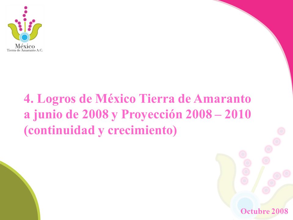 4. Logros de México Tierra de Amaranto a junio de 2008 y Proyección 2008 – 2010 (continuidad y crecimiento)