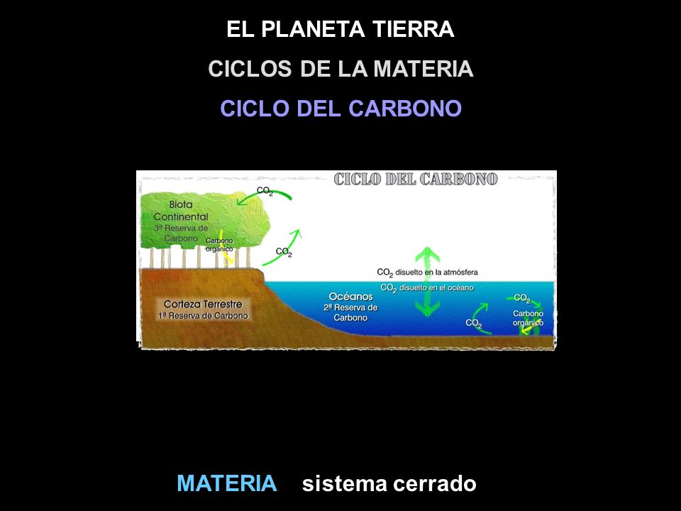 CICLOS DE LA MATERIA CICLO DEL CARBONO MATERIA sistema cerrado