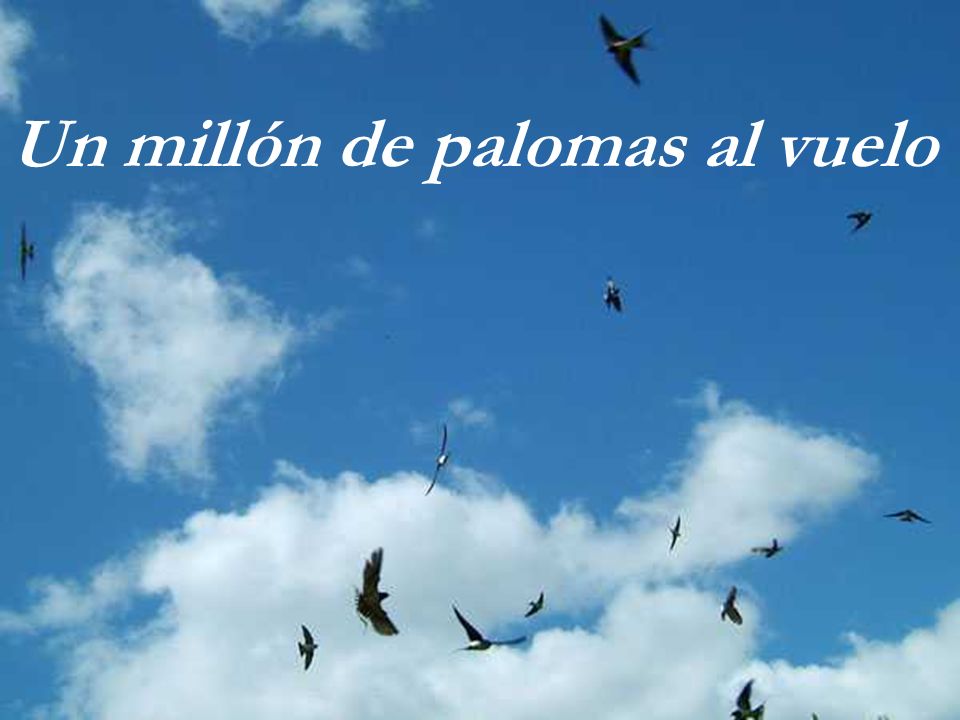 Un millón de palomas al vuelo