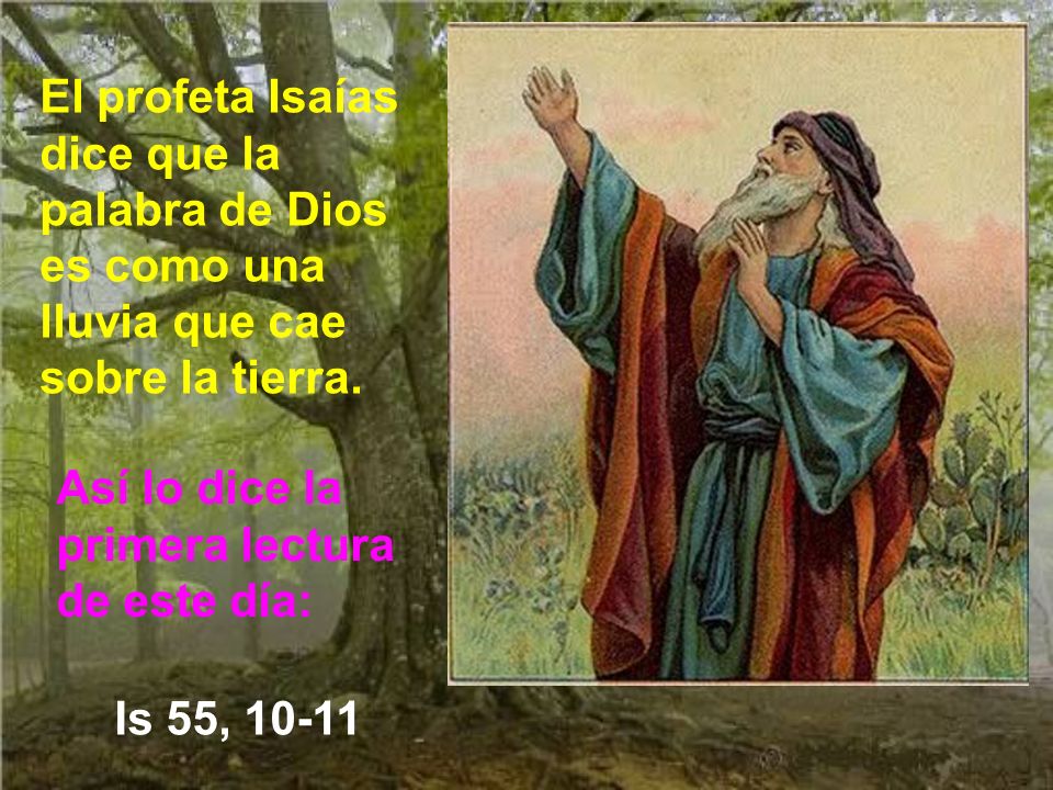 El profeta Isaías dice que la palabra de Dios es como una lluvia que cae sobre la tierra.
