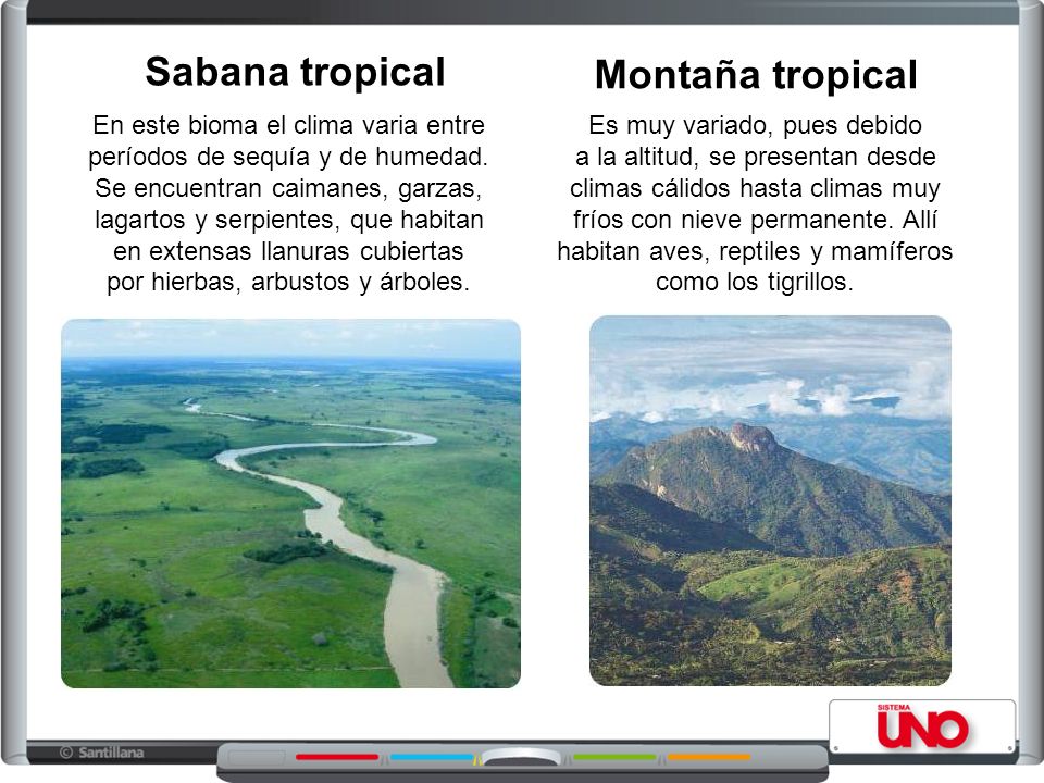 Sabana tropical Montaña tropical