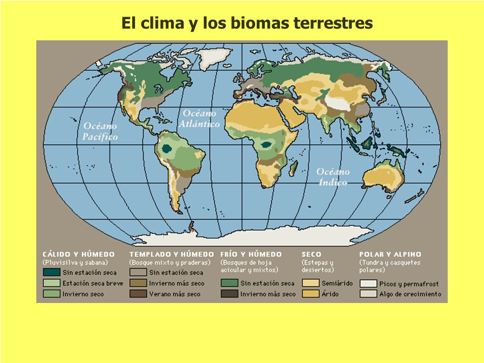 El clima y los biomas terrestres