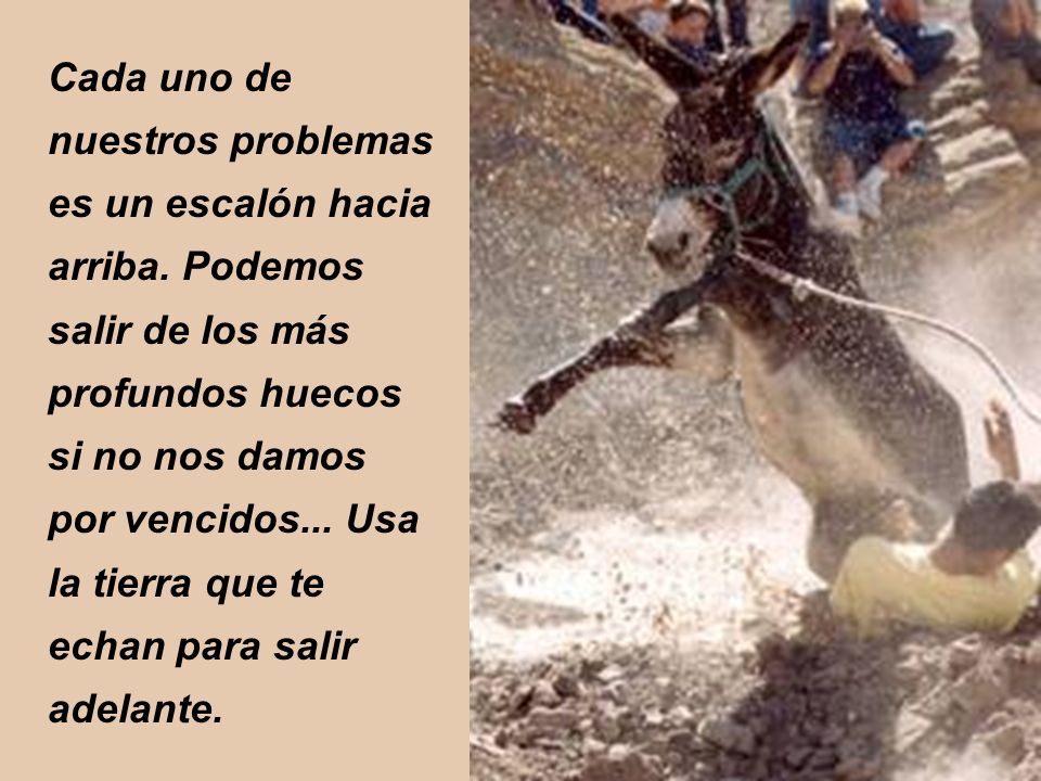 Cada uno de nuestros problemas es un escalón hacia arriba