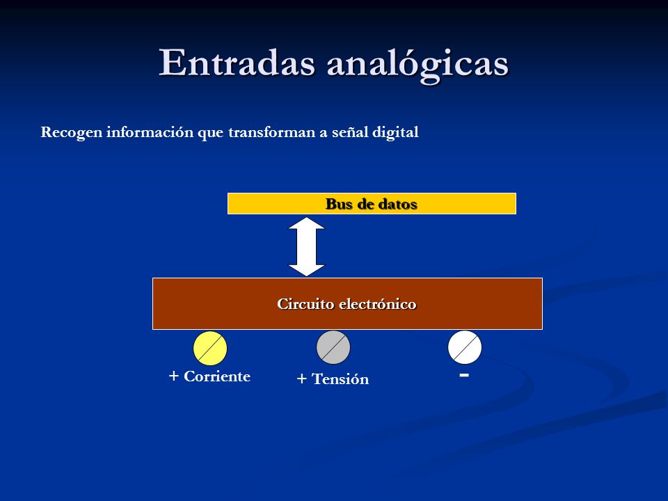 Entradas analógicas Recogen información que transforman a señal digital. Bus de datos. Circuito electrónico.
