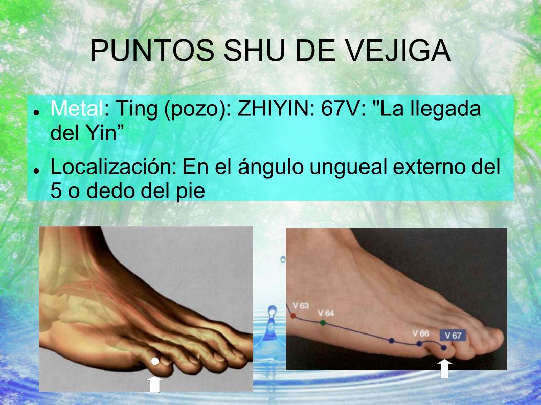 PUNTOS SHU DE VEJIGA Metal: Ting (pozo): ZHIYIN: 67V: La llegada del Yin Localización: En el ángulo ungueal externo del 5 o dedo del pie.