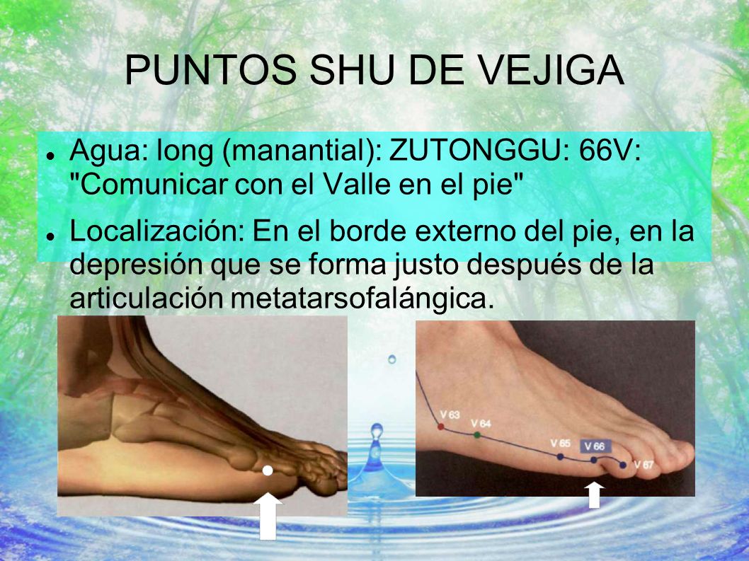 PUNTOS SHU DE VEJIGA Agua: long (manantial): ZUTONGGU: 66V: Comunicar con el Valle en el pie