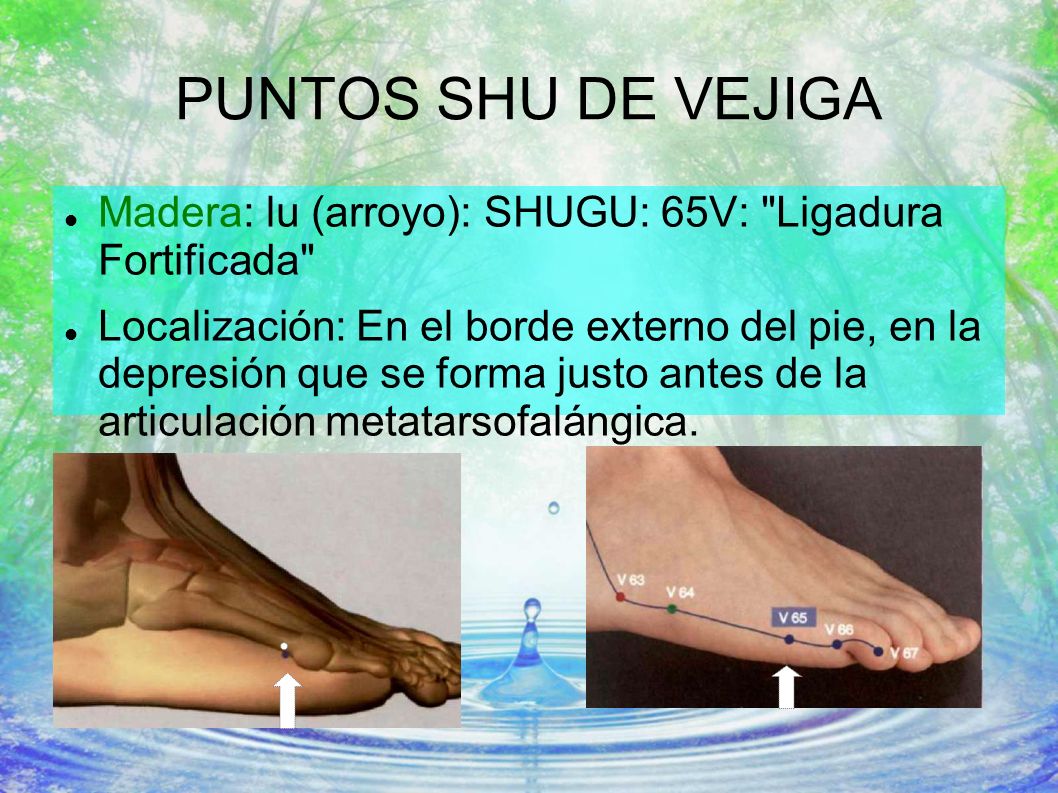 PUNTOS SHU DE VEJIGA Madera: lu (arroyo): SHUGU: 65V: Ligadura Fortificada