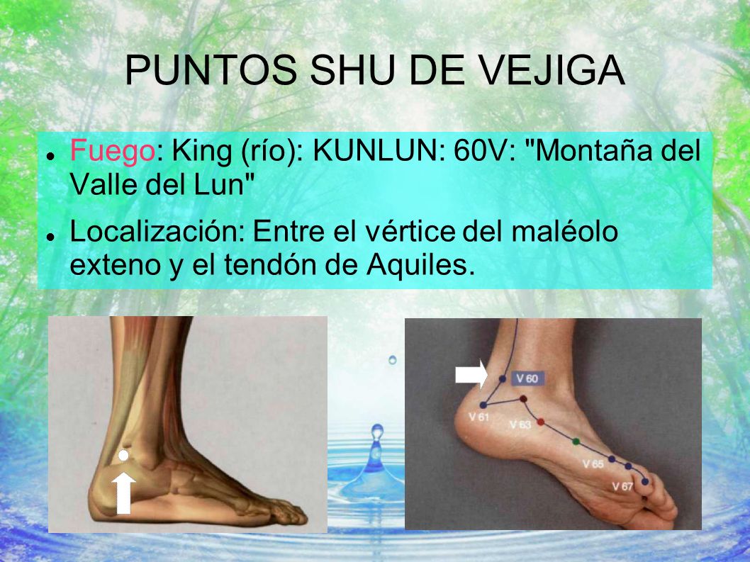 PUNTOS SHU DE VEJIGA Fuego: King (río): KUNLUN: 60V: Montaña del Valle del Lun