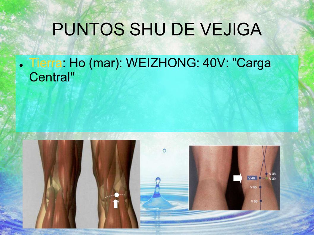 PUNTOS SHU DE VEJIGA Tierra: Ho (mar): WEIZHONG: 40V: Carga Central