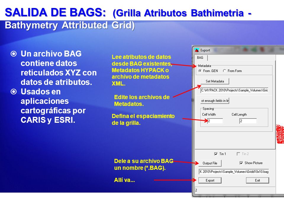 SALIDA DE BAGS: (Grilla Atributos Bathimetria - Bathymetry Attributed Grid)