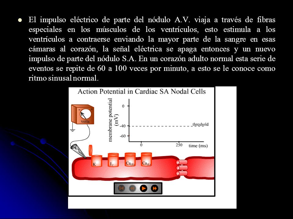 El impulso eléctrico de parte del nódulo A. V