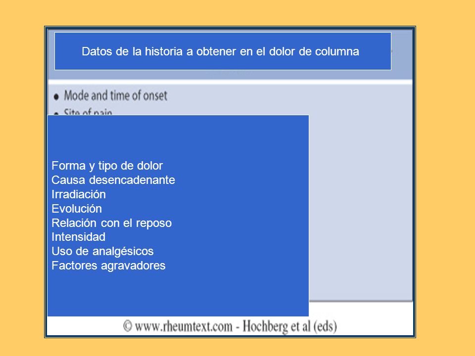 Datos de la historia a obtener en el dolor de columna