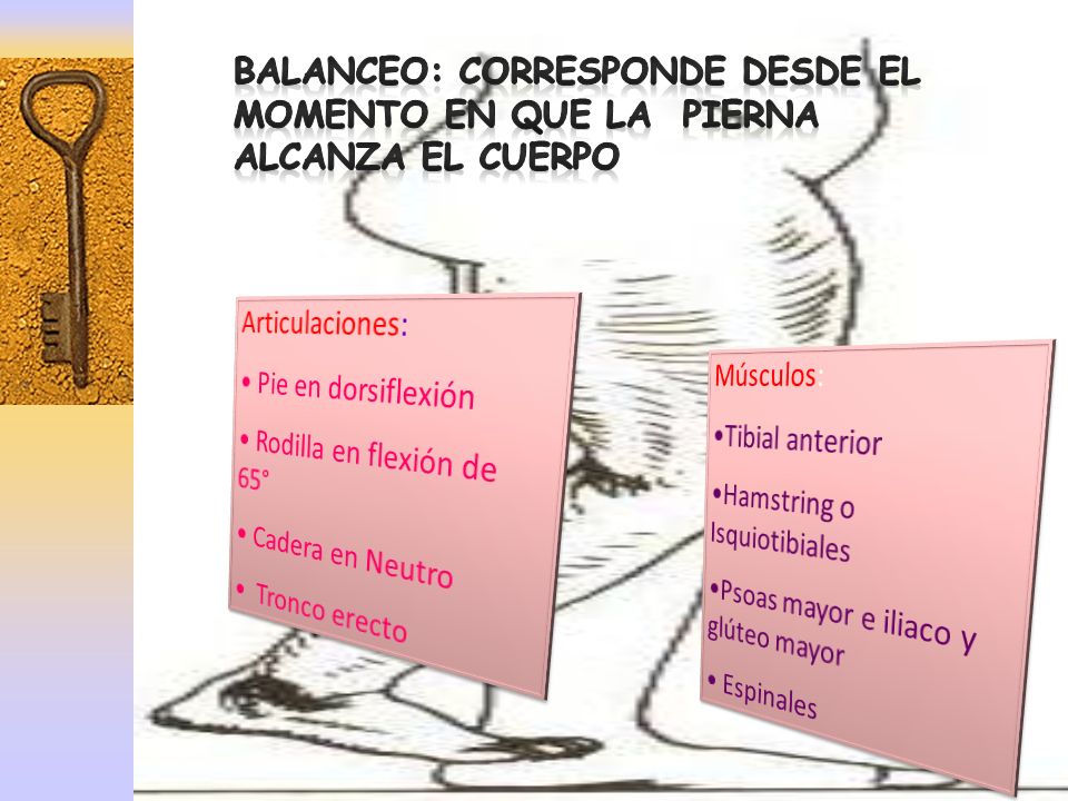 BALANCEO: Corresponde desde el momento en que la pierna alcanza el cuerpo