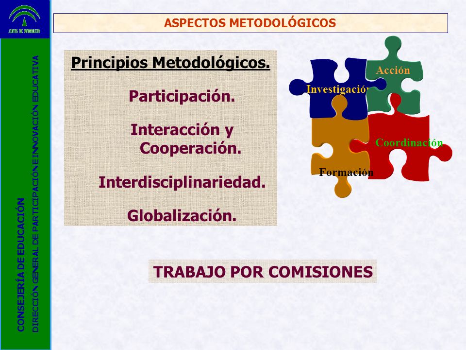 Principios Metodológicos. Participación. Interacción y Cooperación.
