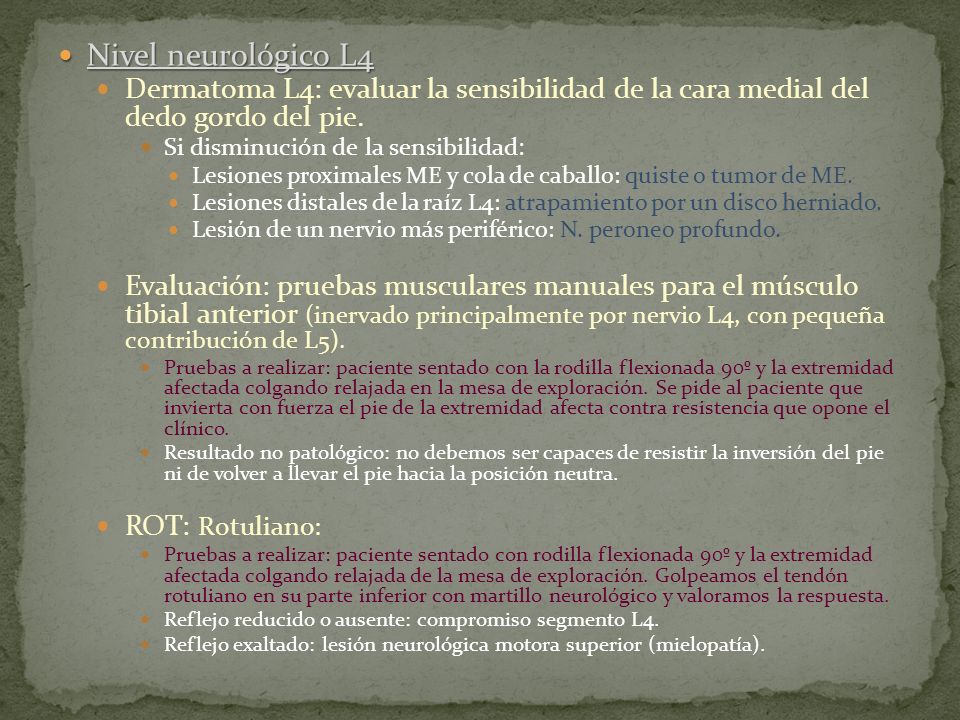 Nivel neurológico L4 Dermatoma L4: evaluar la sensibilidad de la cara medial del dedo gordo del pie.
