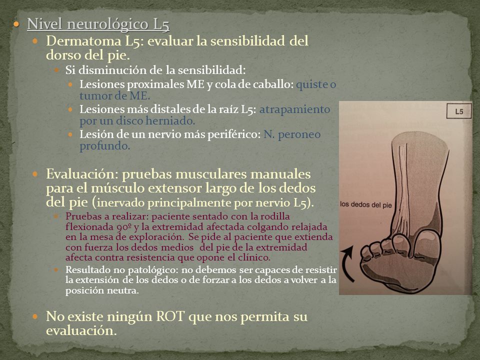Nivel neurológico L5 Dermatoma L5: evaluar la sensibilidad del dorso del pie. Si disminución de la sensibilidad:
