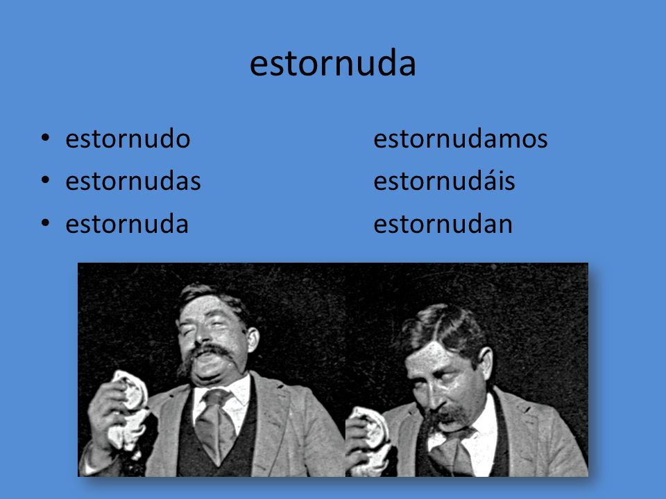 estornuda estornudo estornudamos estornudas estornudáis