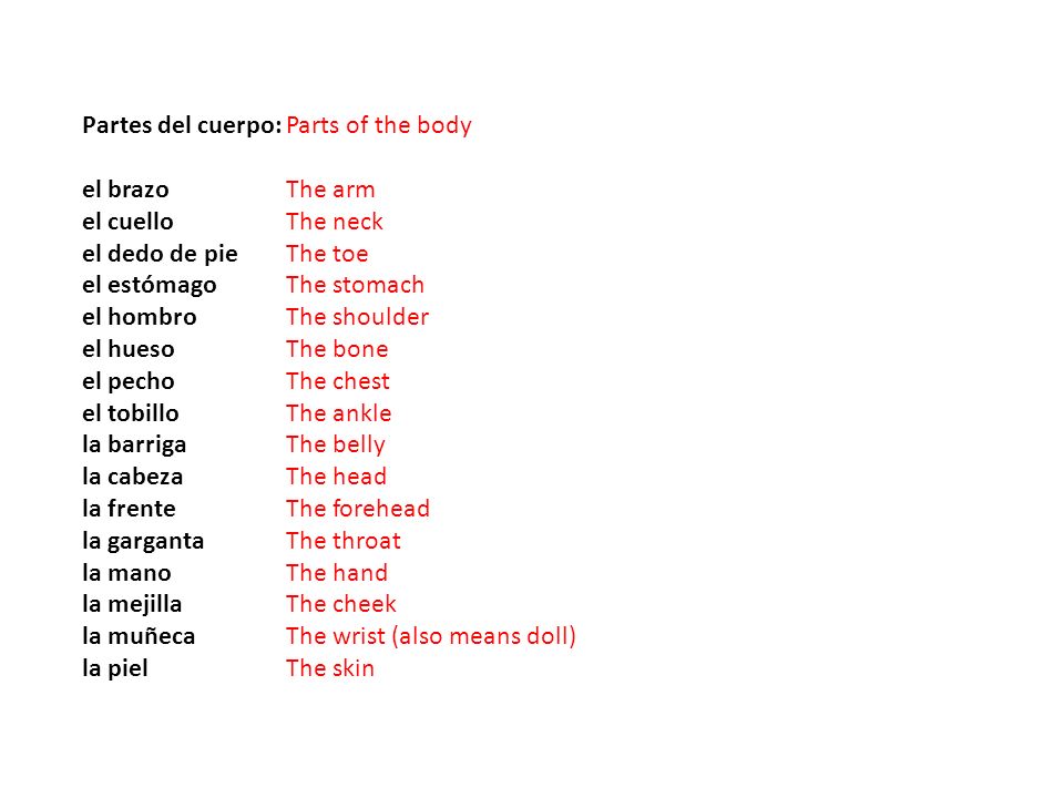 Partes del cuerpo: el brazo. el cuello. el dedo de pie. el estómago. el hombro. el hueso. el pecho.