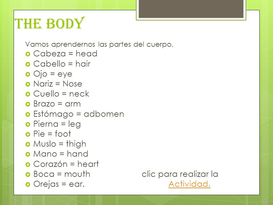 THE BODY Cabeza = head Cabello = hair Ojo = eye Nariz = Nose