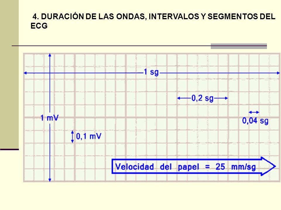4. DURACIÓN DE LAS ONDAS, INTERVALOS Y SEGMENTOS DEL ECG