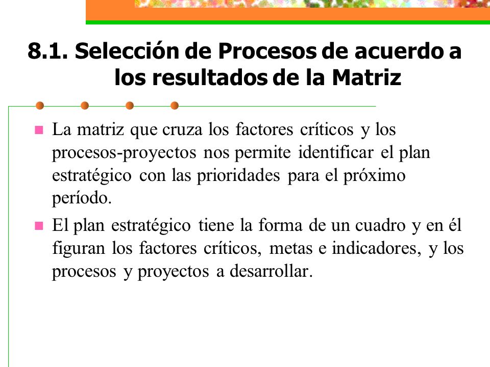 8.1. Selección de Procesos de acuerdo a los resultados de la Matriz
