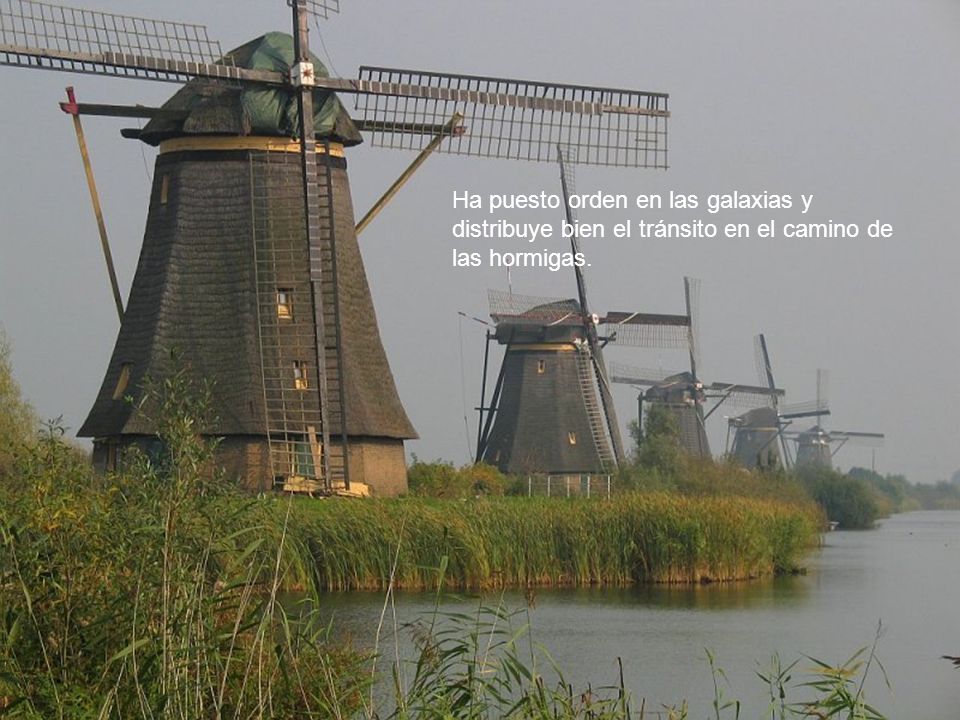 Ha puesto orden en las galaxias y distribuye bien el tránsito en el camino de las hormigas.