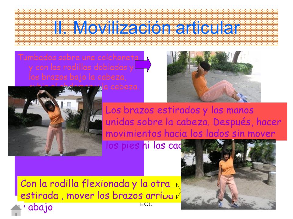 II. Movilización articular