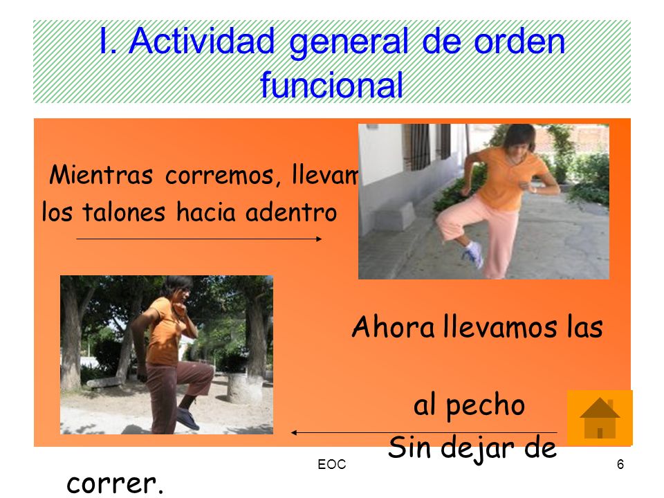 I. Actividad general de orden funcional