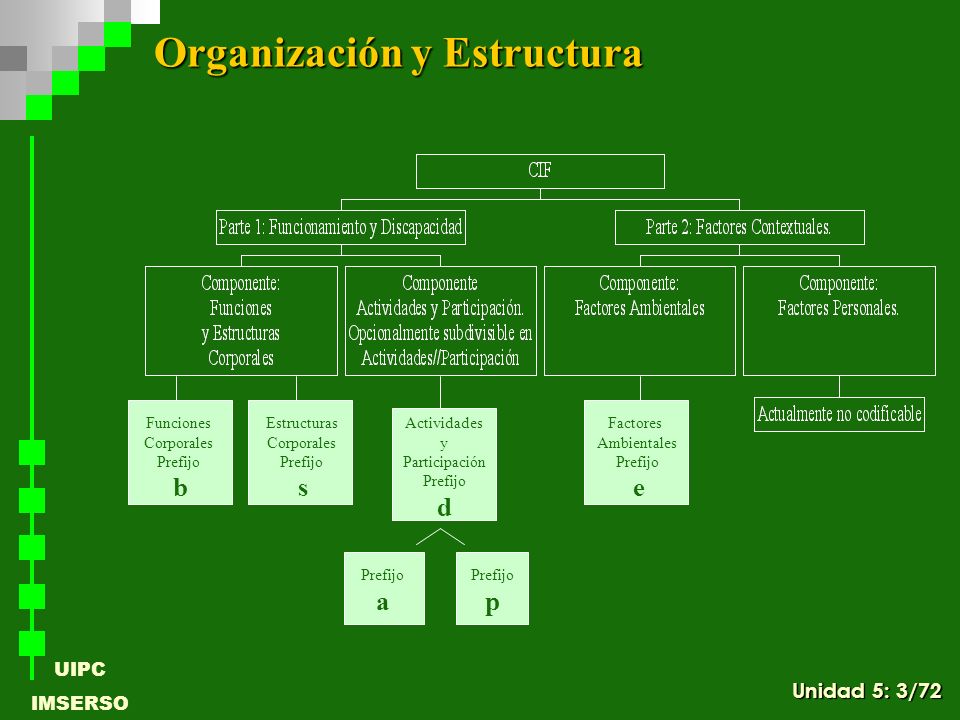 Organización y Estructura