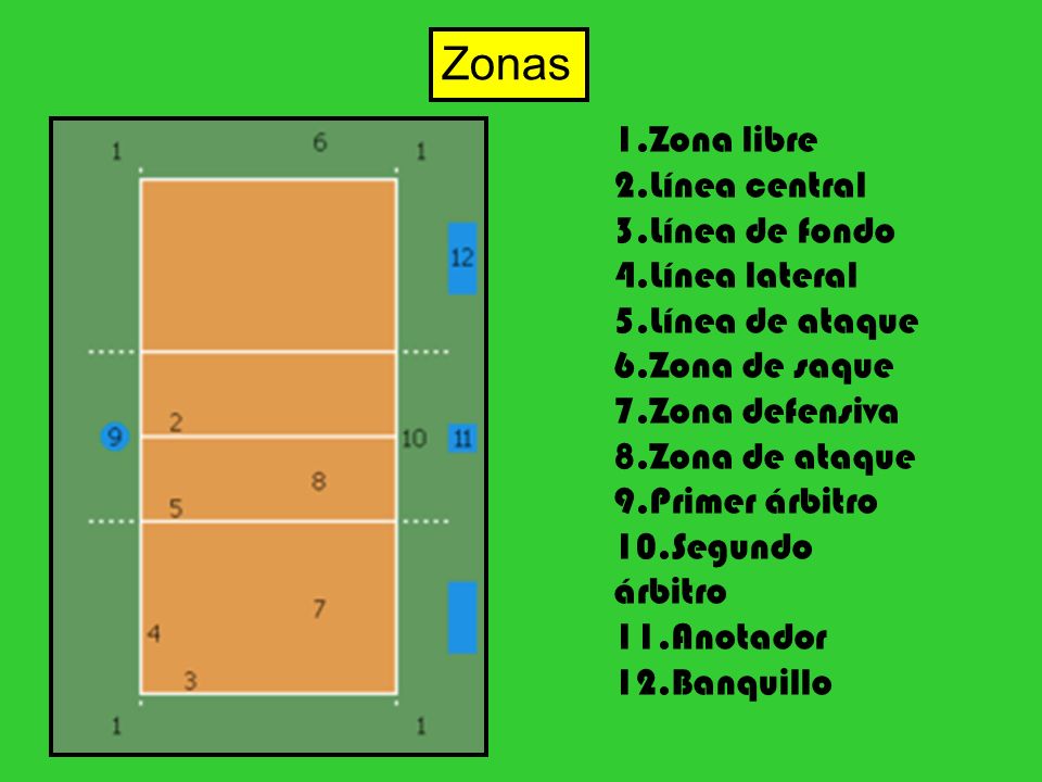 Zonas 1.Zona libre 2.Línea central 3.Línea de fondo 4.Línea lateral