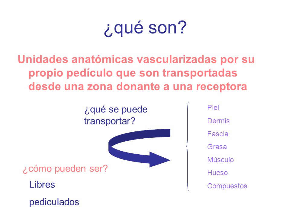 ¿qué son Unidades anatómicas vascularizadas por su propio pedículo que son transportadas desde una zona donante a una receptora.