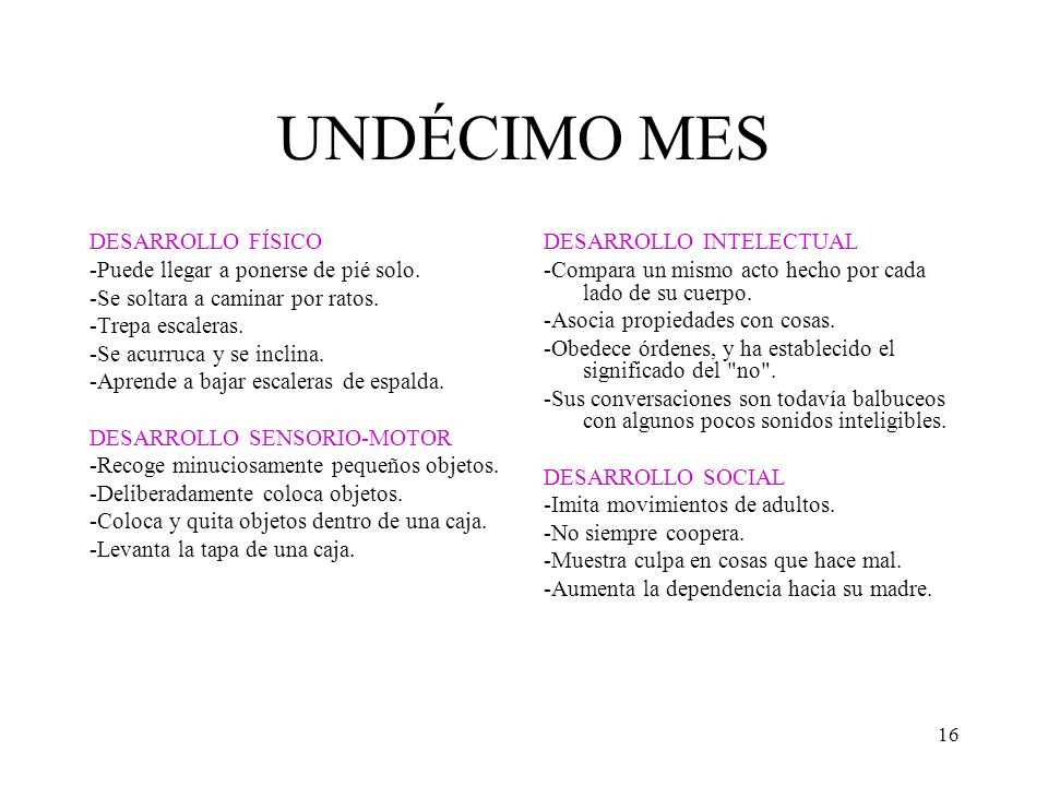 UNDÉCIMO MES DESARROLLO FÍSICO -Puede llegar a ponerse de pié solo.