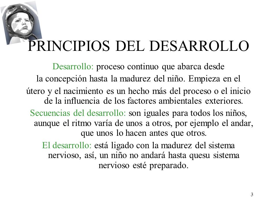PRINCIPIOS DEL DESARROLLO