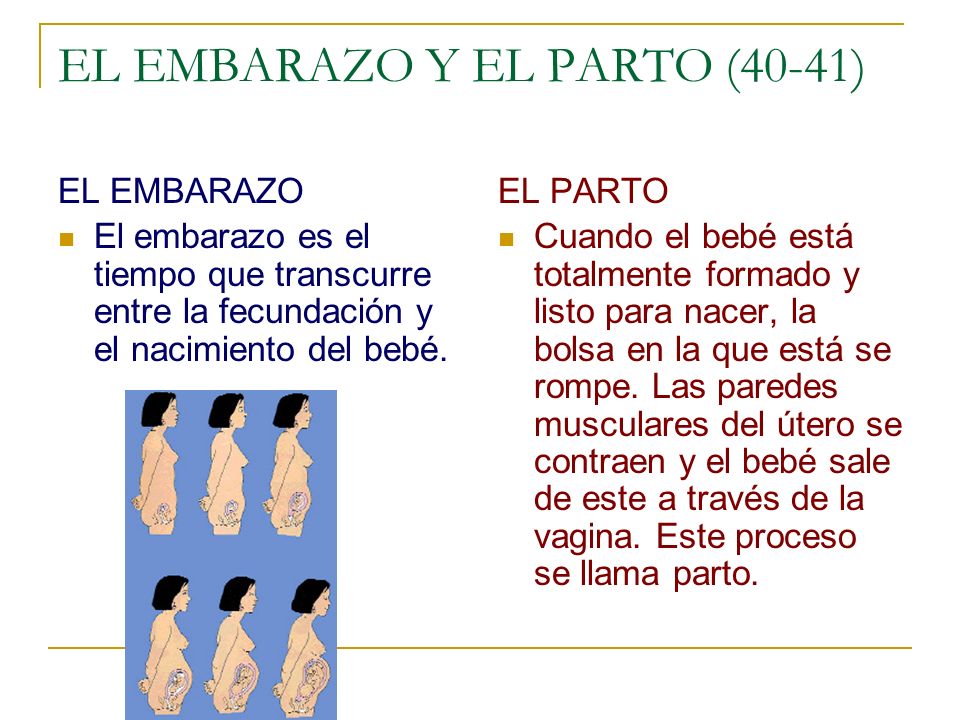 EL EMBARAZO Y EL PARTO (40-41)