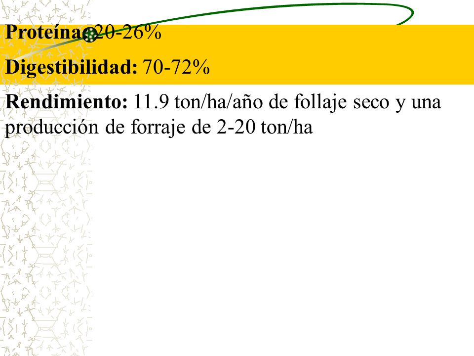 Proteína: 20-26% Digestibilidad: 70-72% Rendimiento: 11.9 ton/ha/año de follaje seco y una producción de forraje de 2-20 ton/ha.