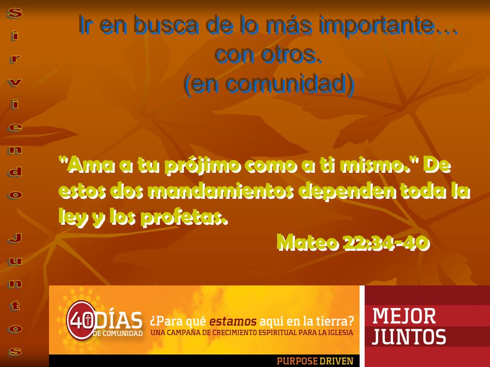 Ir en busca de lo más importante… con otros. (en comunidad)
