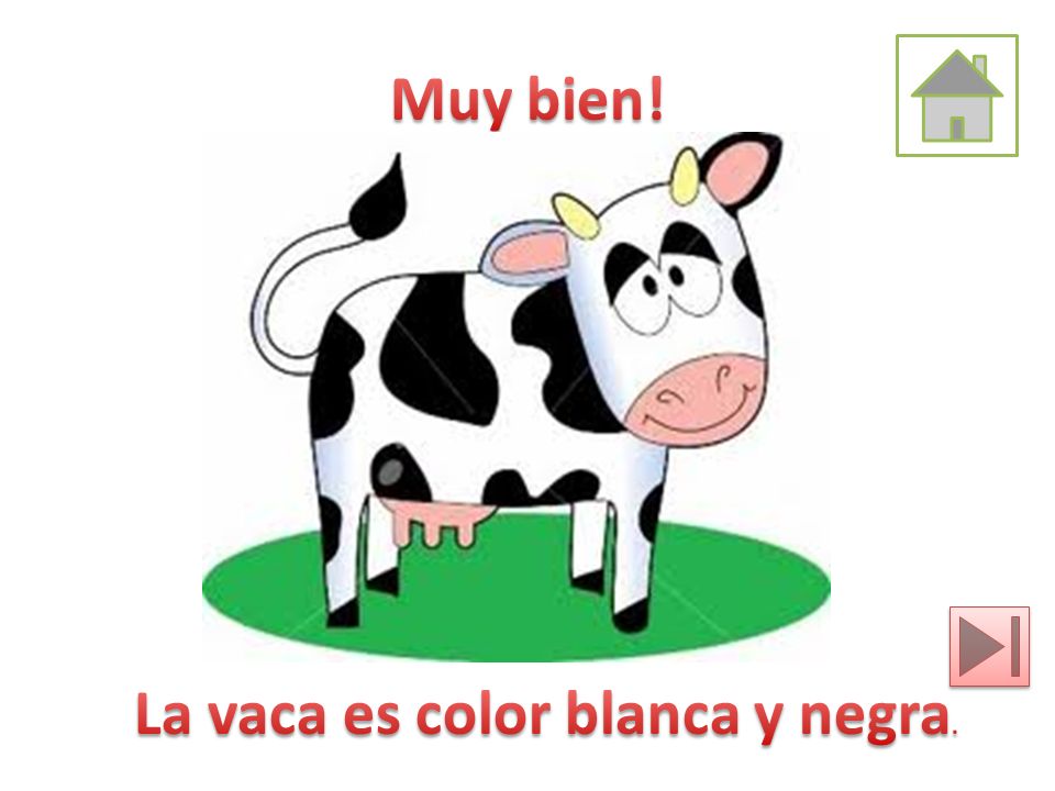 Muy bien! La vaca es color blanca y negra.