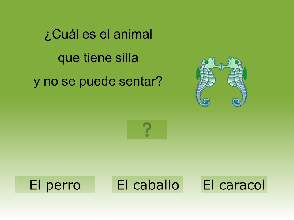 ¿Cuál es el animal que tiene silla y no se puede sentar El perro El caballo El caracol