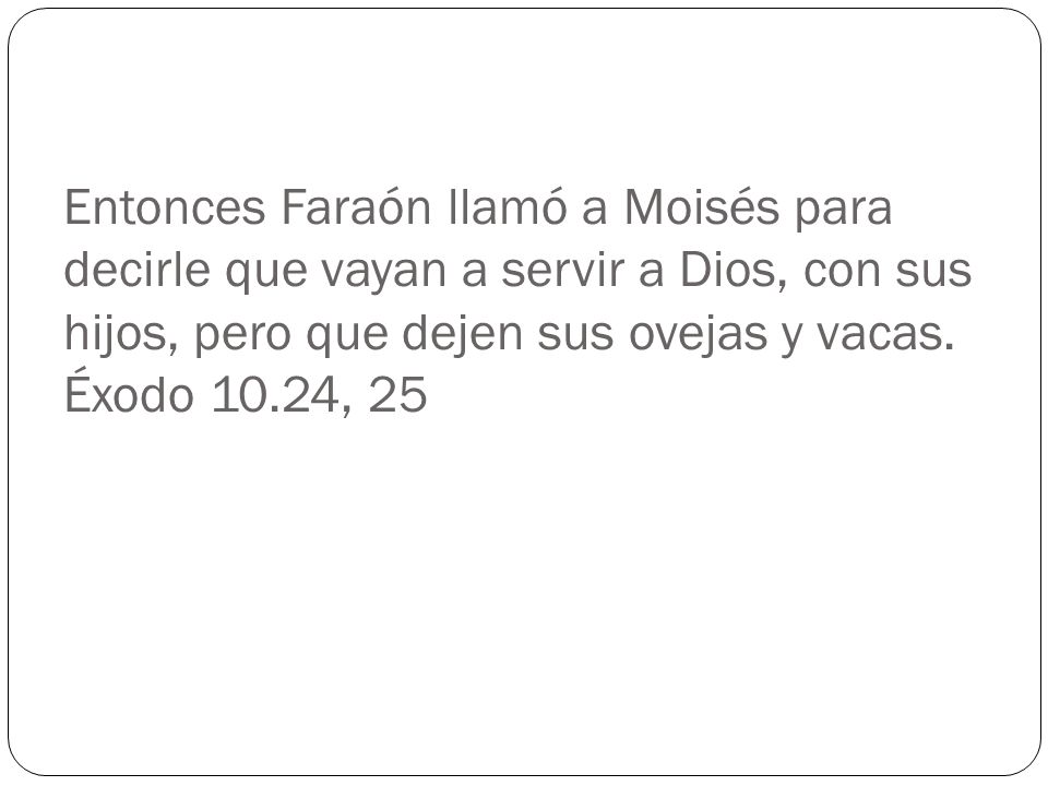 Entonces Faraón llamó a Moisés para decirle que vayan a servir a Dios, con sus hijos, pero que dejen sus ovejas y vacas.