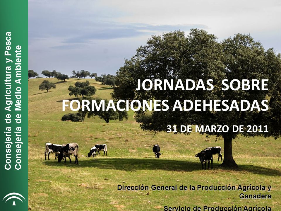 JORNADAS SOBRE FORMACIONES ADEHESADAS
