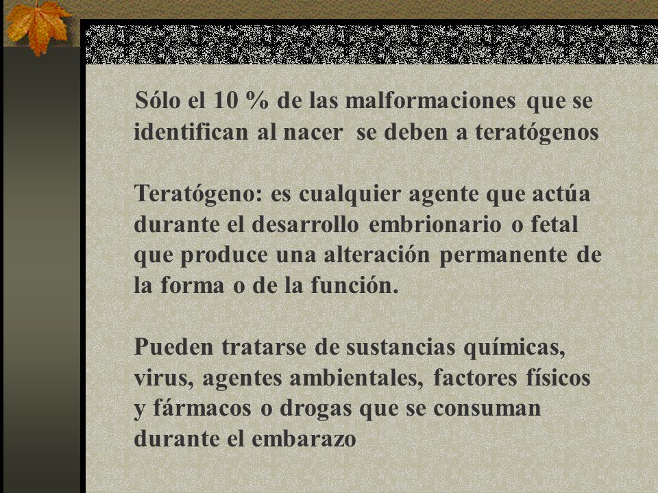 Sólo el 10 % de las malformaciones que se