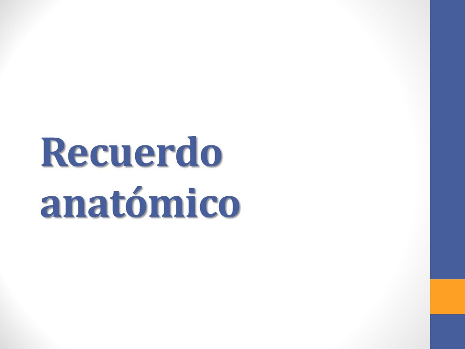 Recuerdo anatómico