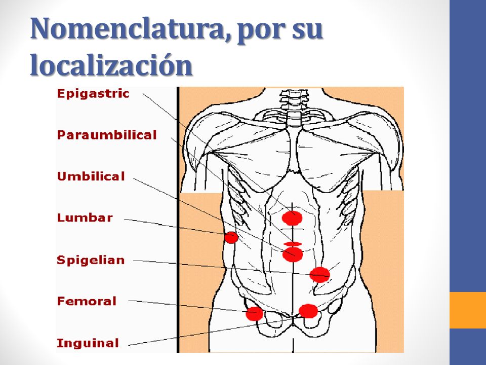 Nomenclatura, por su localización