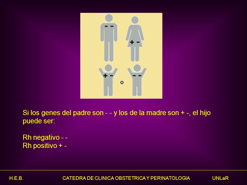 Si los genes del padre son - - y los de la madre son + -, el hijo puede ser: Rh negativo - - Rh positivo + -