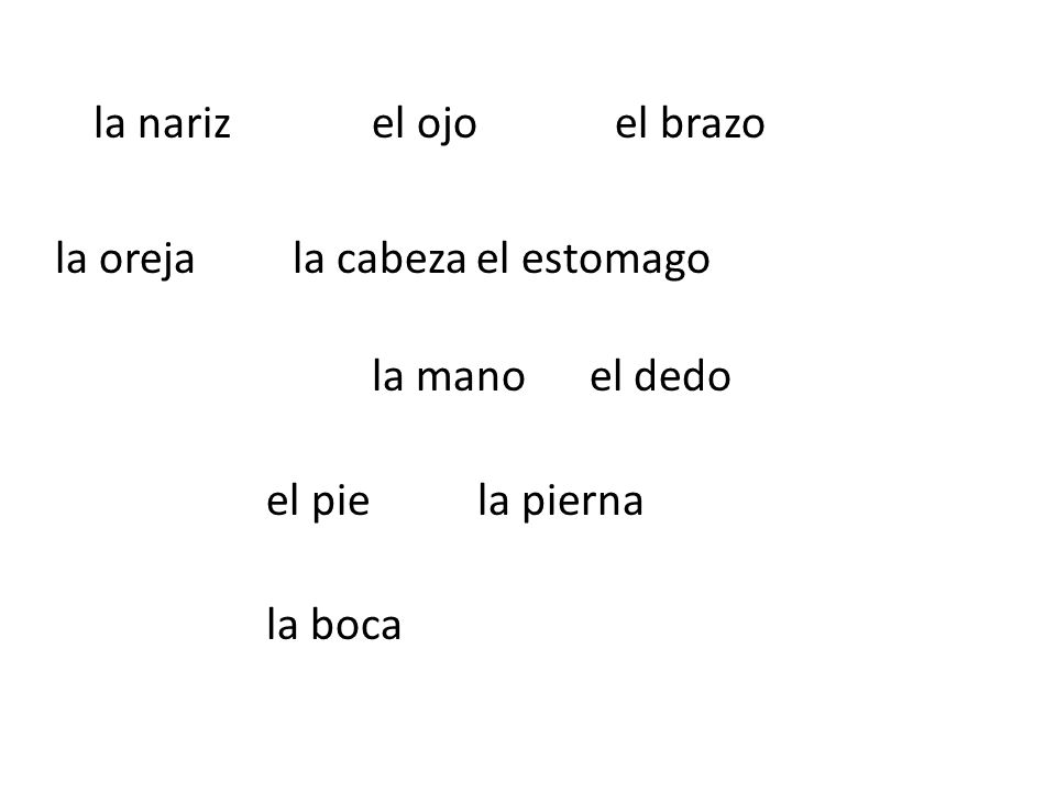 la nariz el ojo el brazo la oreja la cabeza el estomago. la mano el dedo.