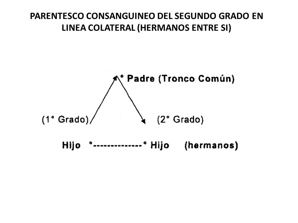 PARENTESCO CONSANGUINEO DEL SEGUNDO GRADO EN LINEA COLATERAL (HERMANOS ENTRE SI)